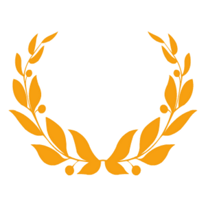 Orchestra Group